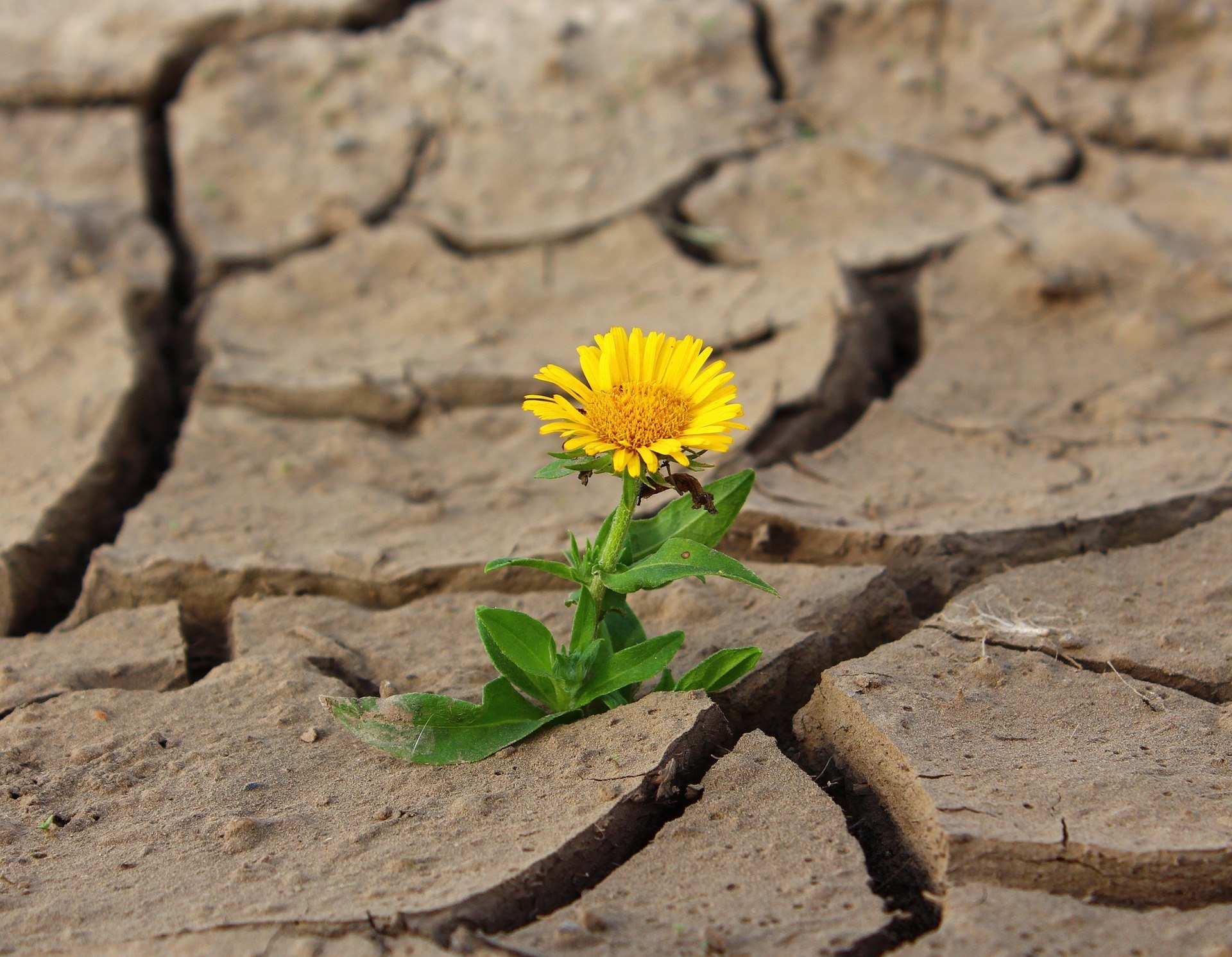 Reframing – Die verborgene Heldin, der verborgene Held in Dir