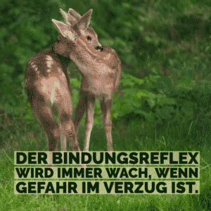 Gefahr